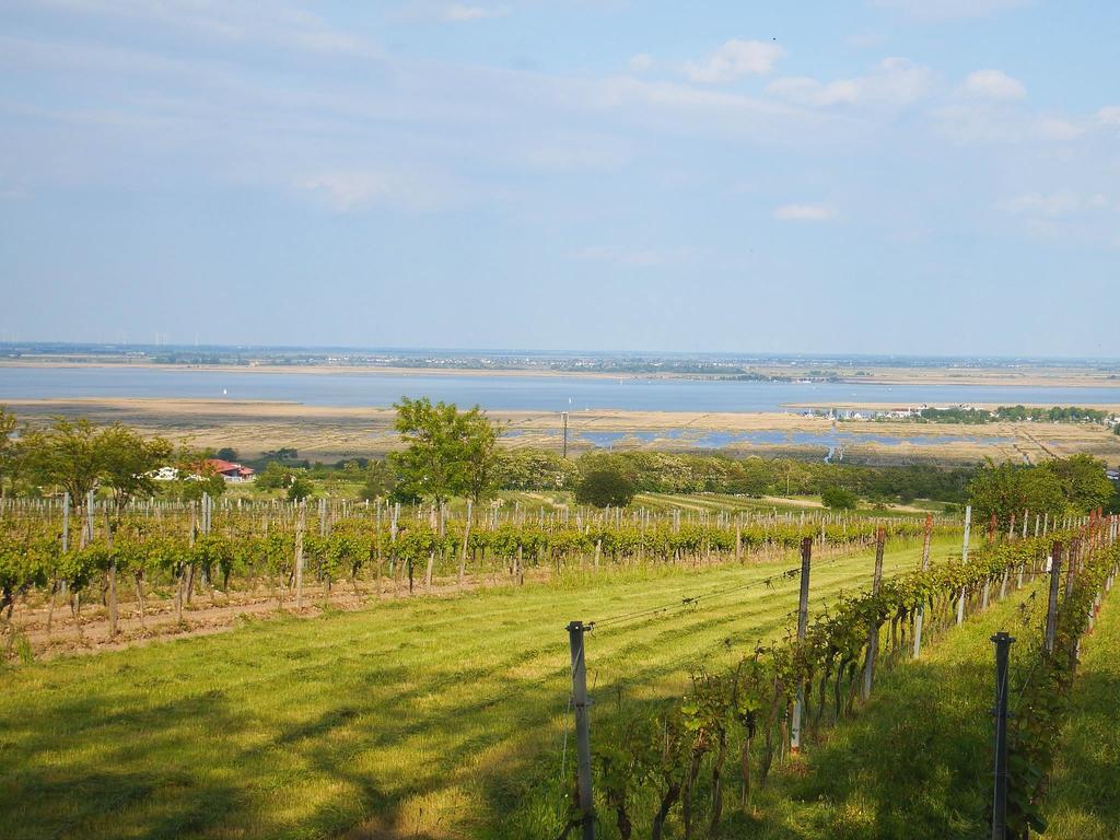 Hotel Haus Margarethe Mörbisch am See Zewnętrze zdjęcie